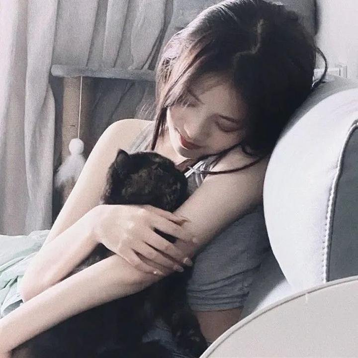 少年师爷之知礼万事通 在线观看